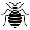 Black cat silhouette with curved tail