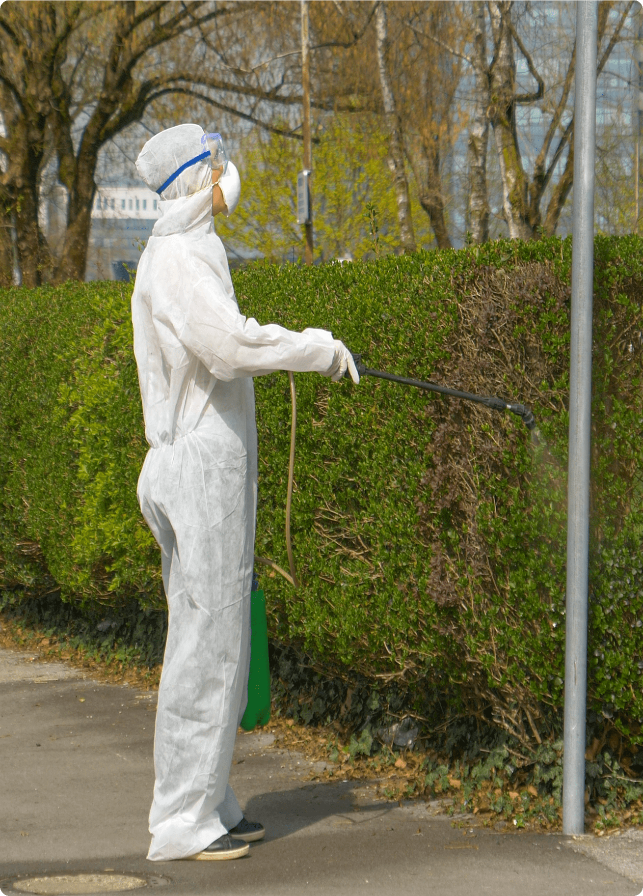 Worker in hazmat suit spraying plants